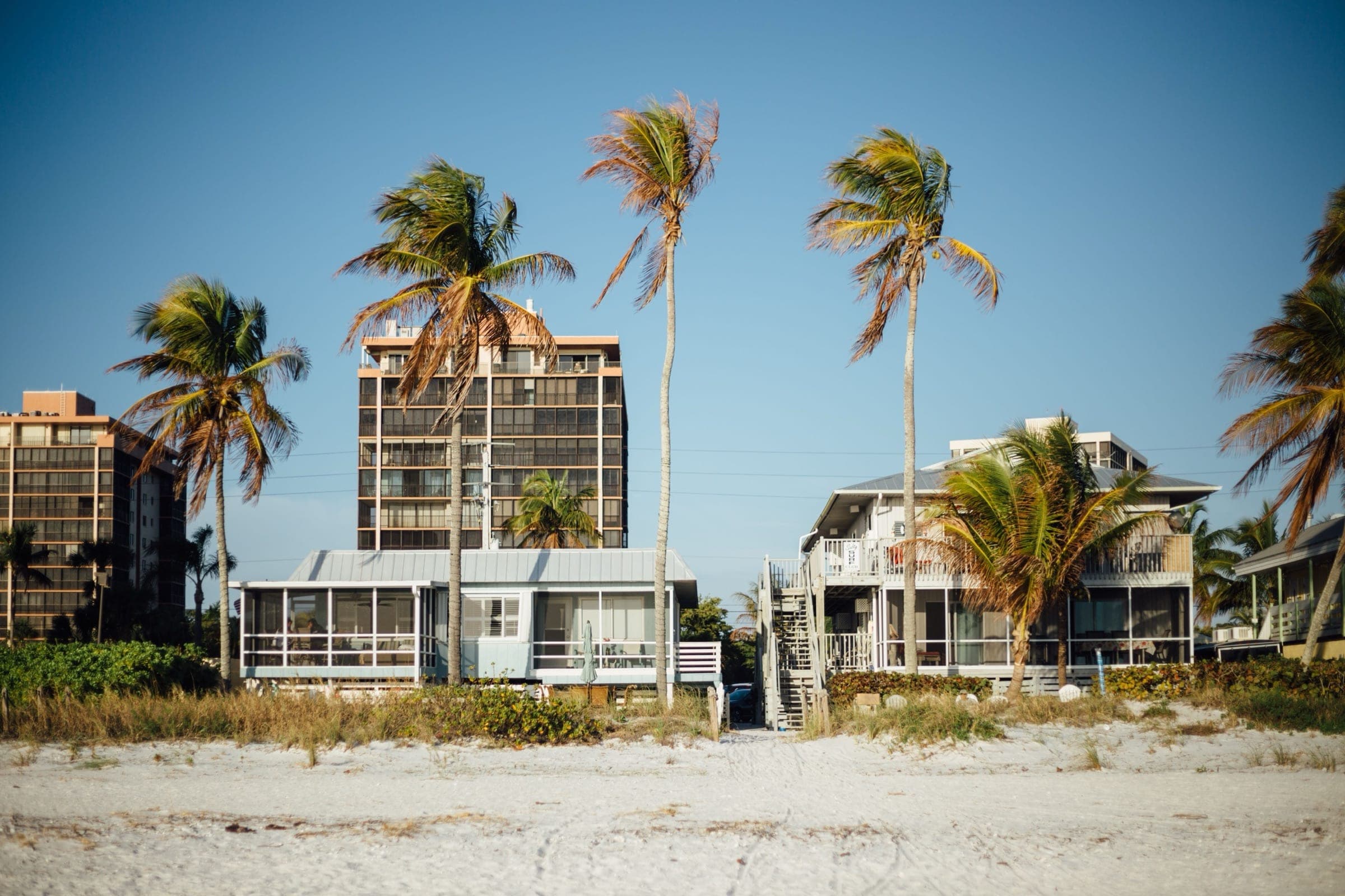 Beachfront homes and condos behind palm trees and dune plants on white sand, the kind of setting we work with for landscaping in South Padre Island, TX